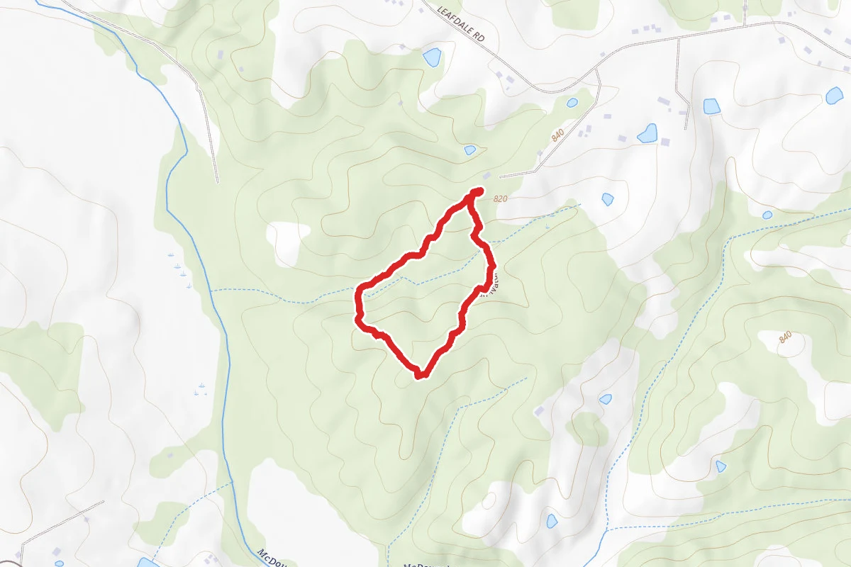 Pearman Forest Trail