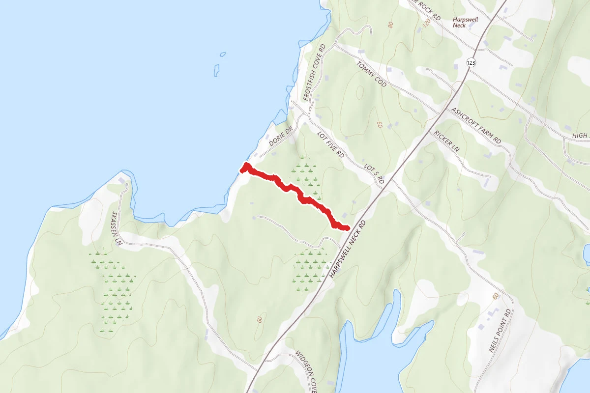 Wilson’s Cove Trail