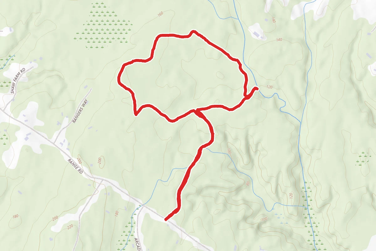 Rines Forest Extended Loop