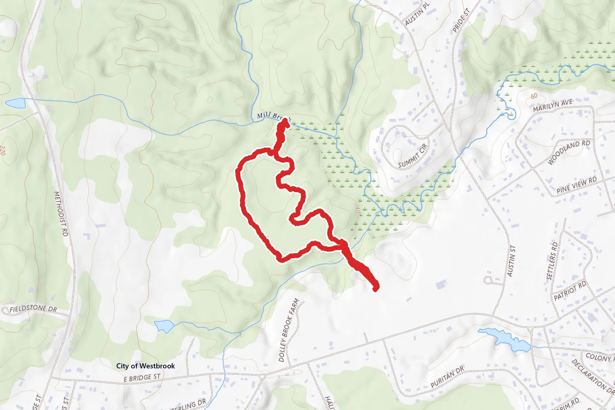 Mill Brook Preserve South Trail