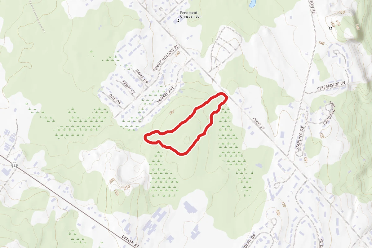Brown Woods Loop Trail