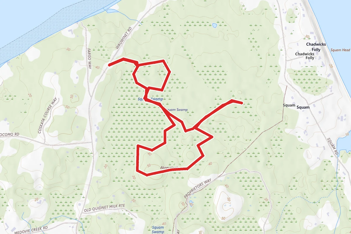 Squam Swamp Interpretive Trail