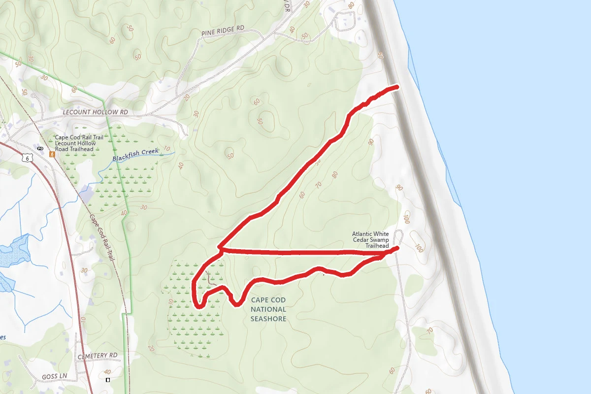 Atlantic White Cedar Swamp Extended Trail