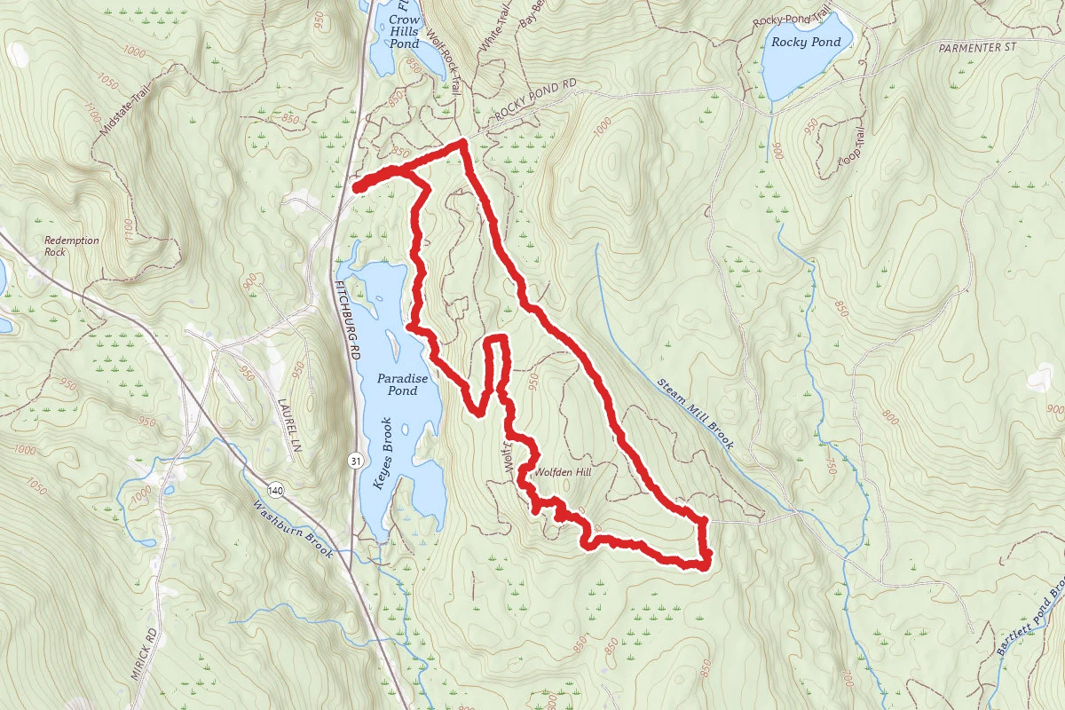 Paradise Pond Loop