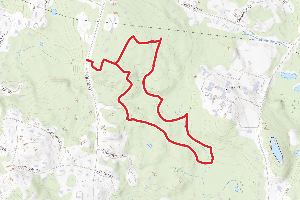 Highland Forest Loop
