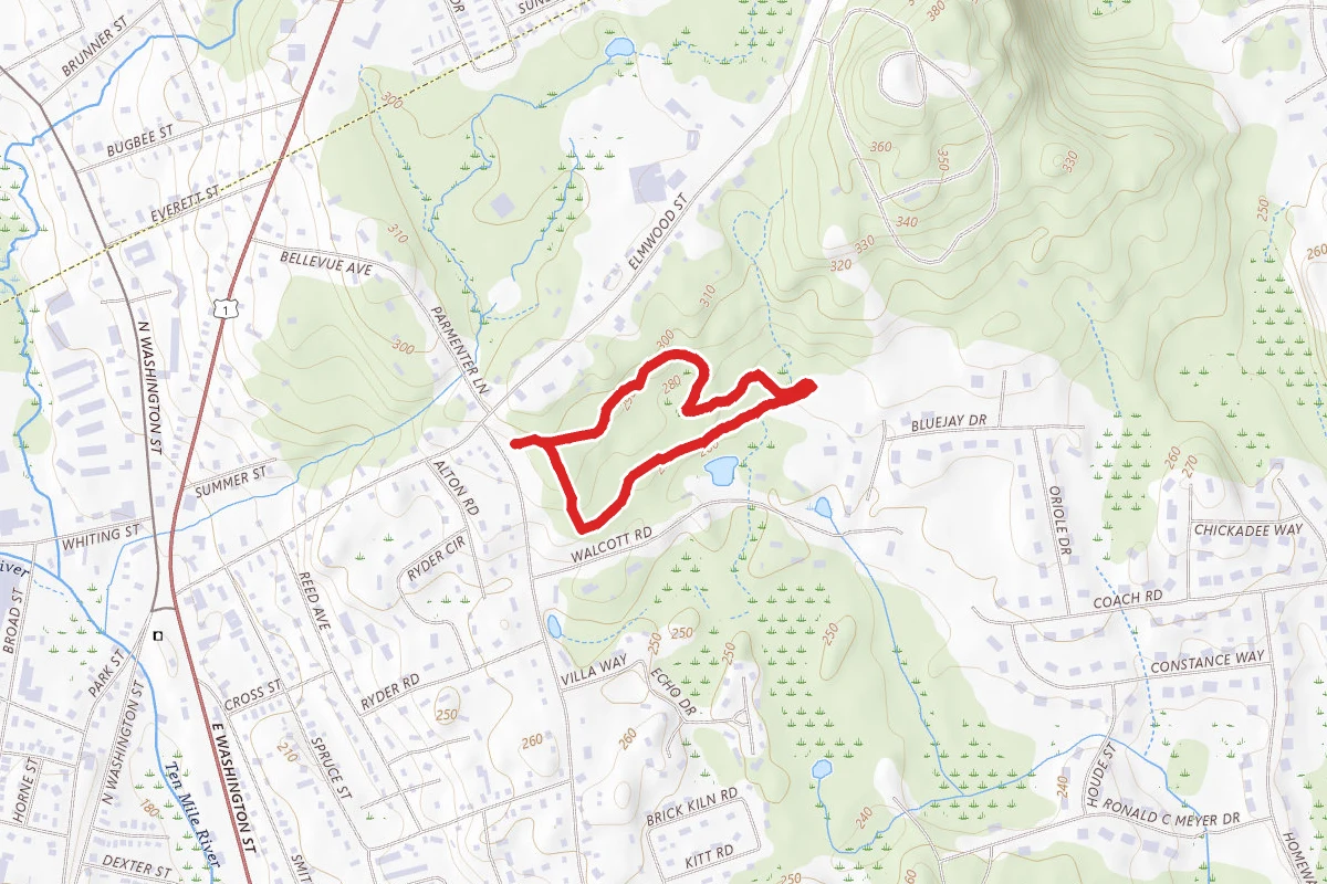 Arnold Arboretum Loop