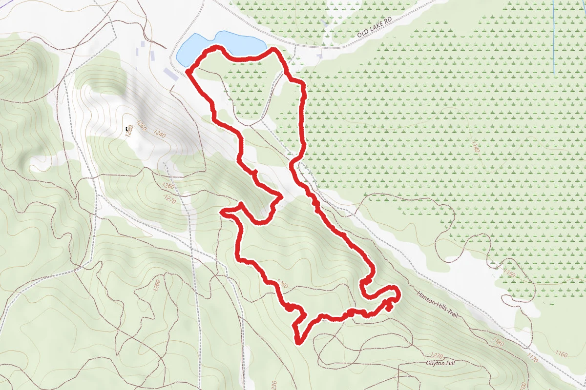 Hanson Hills Overlook Trail