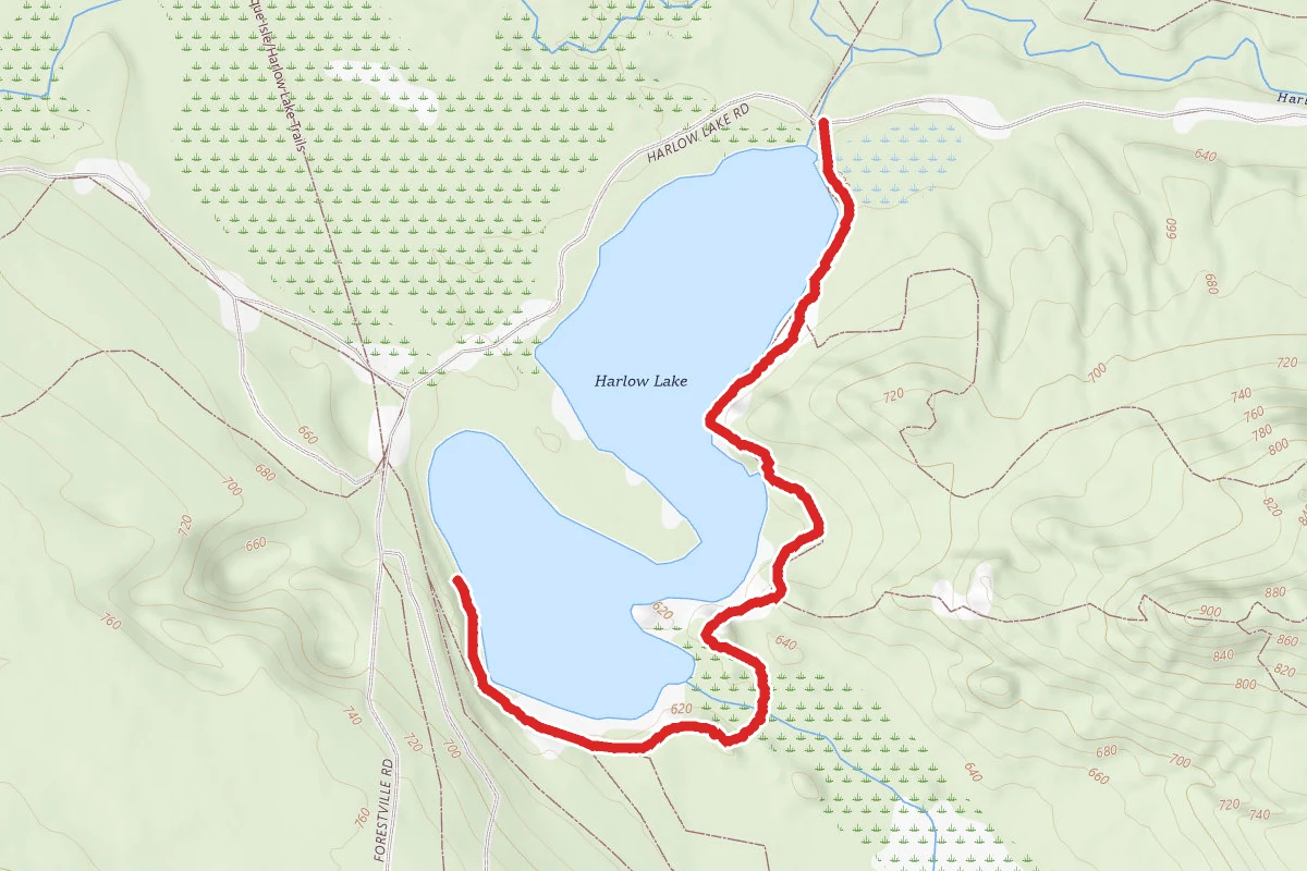 Harlow Lake
