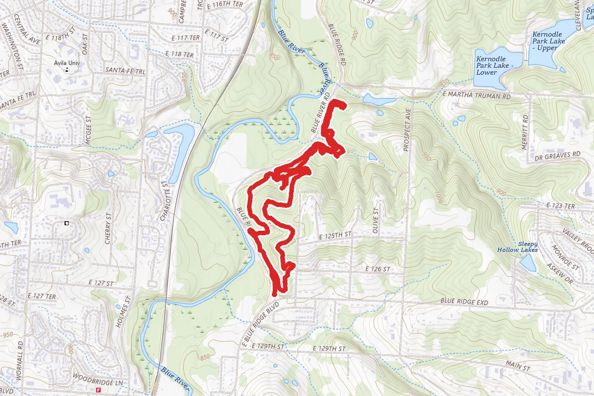 Bohoca, Highline, and Basement Loop