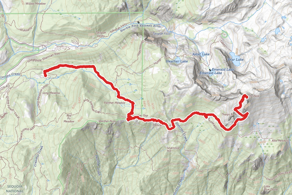 Alta Peak Trail