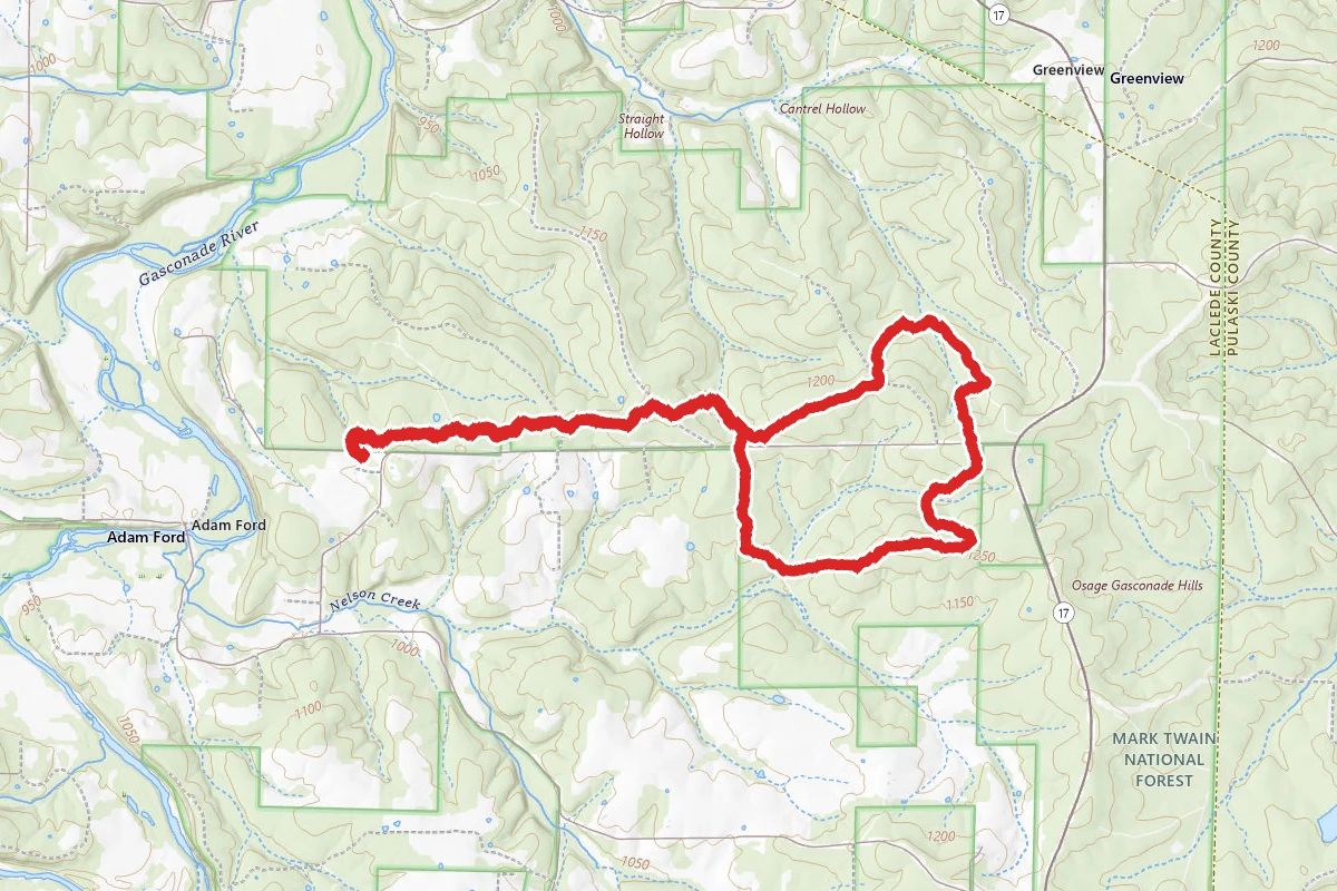 Cedar Ridge Yellow Trail