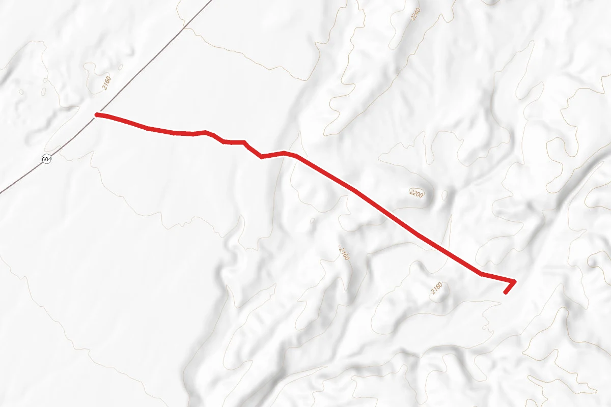 Nellis Dunes Trail