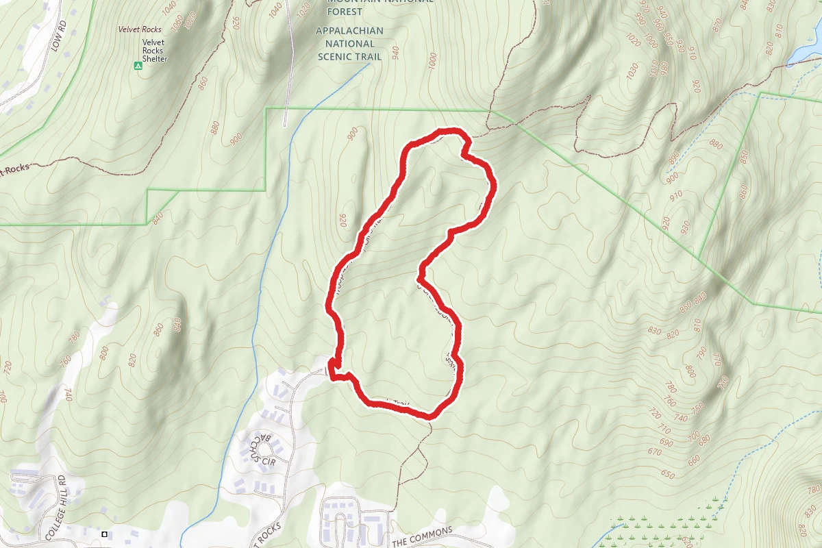Oli's Eagle to Greensboro Highlands to Silent Brook Loop