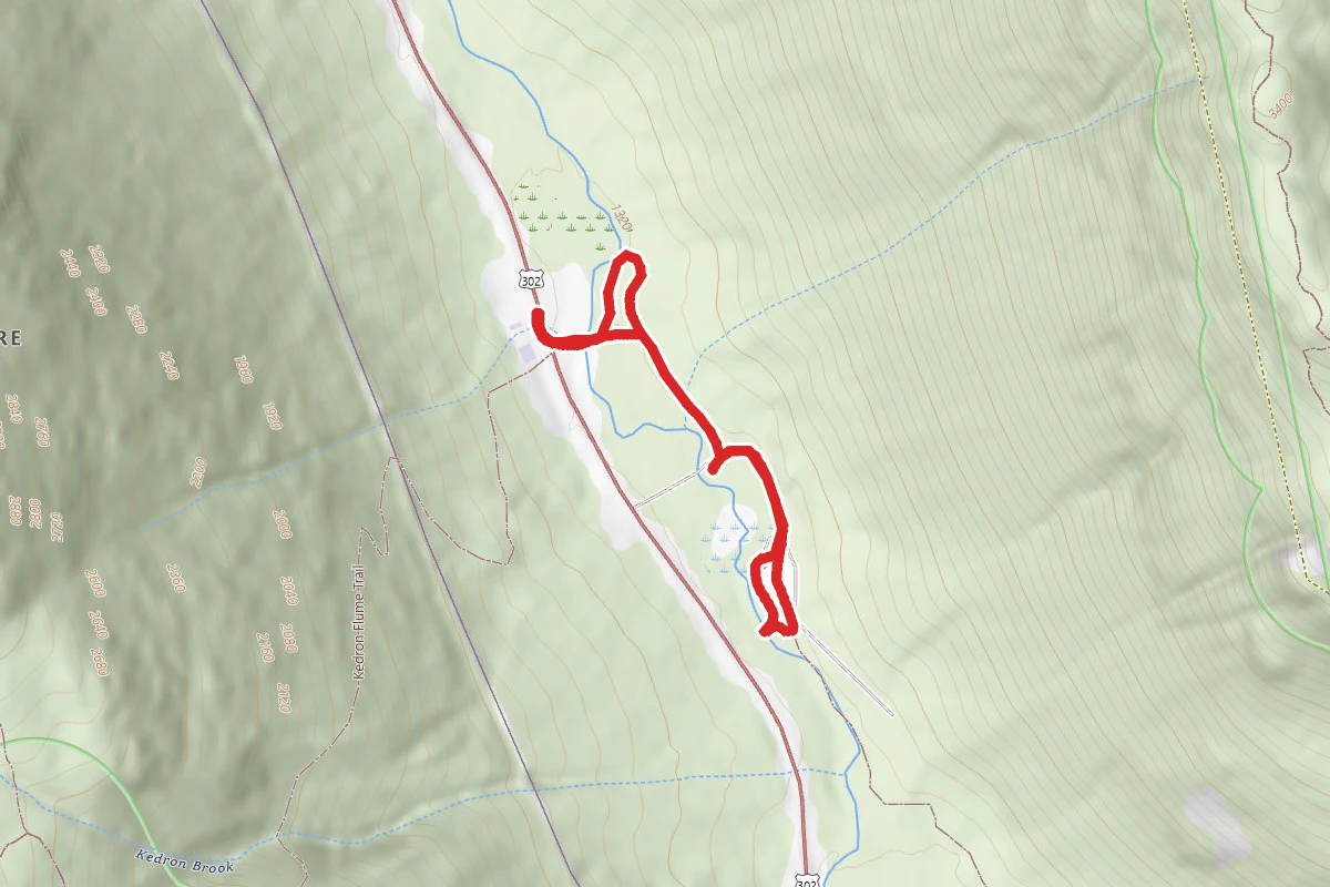 Wiley Pond and Saco River Loop