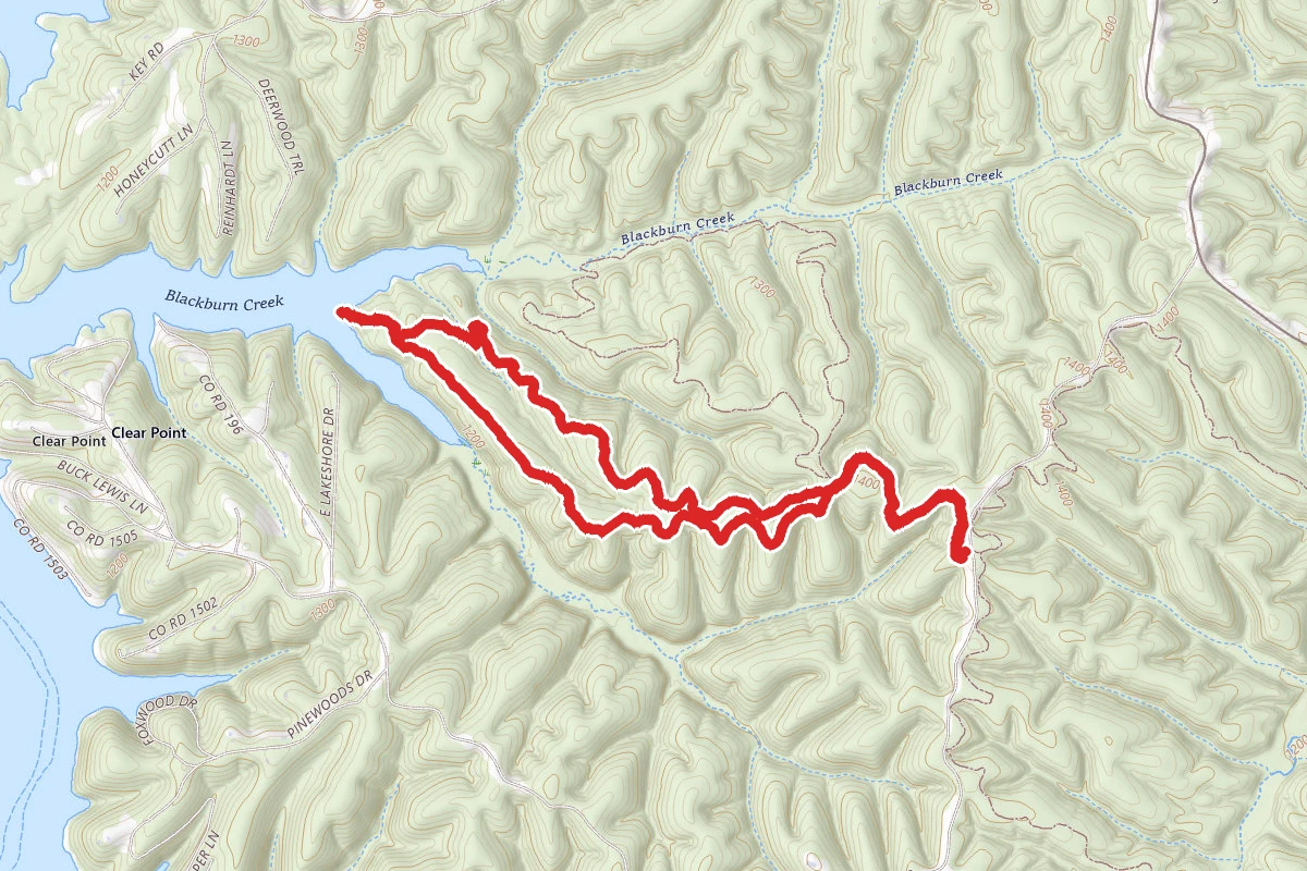 Bashore Ridge Loop Trail