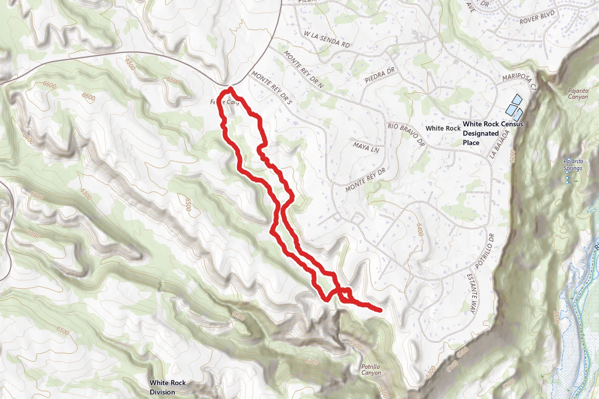 Portillo Canyon Loop Trail
