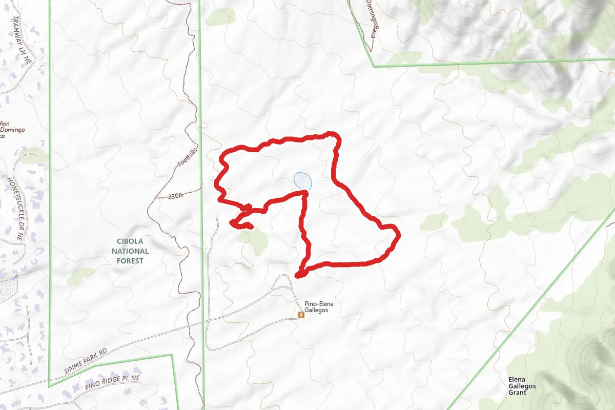 Cottonwood Springs, Pino Trail #140, Trail #342 and Trail #230 Loop