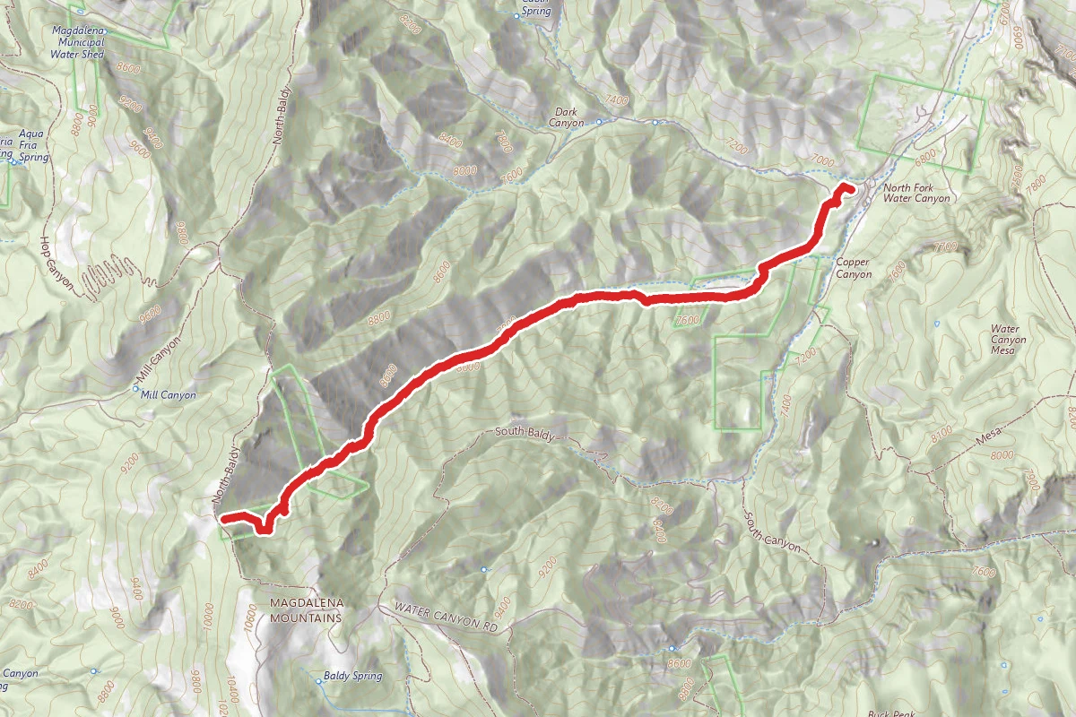 Copper Canyon Trail