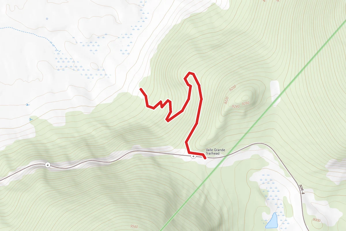 Valle Grande Trail