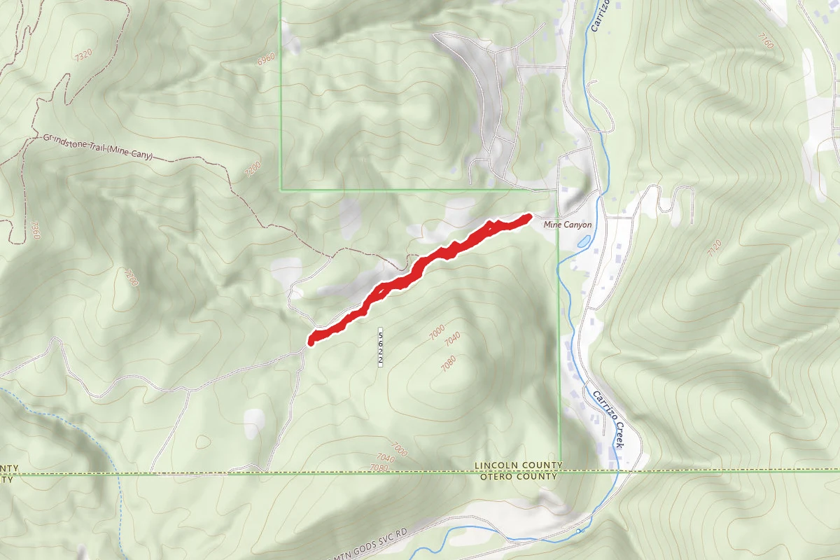 Forrest Trail 91