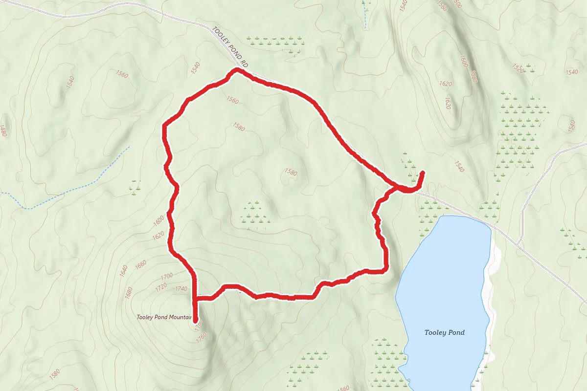 Tooley Pond Mountain Trail Loop