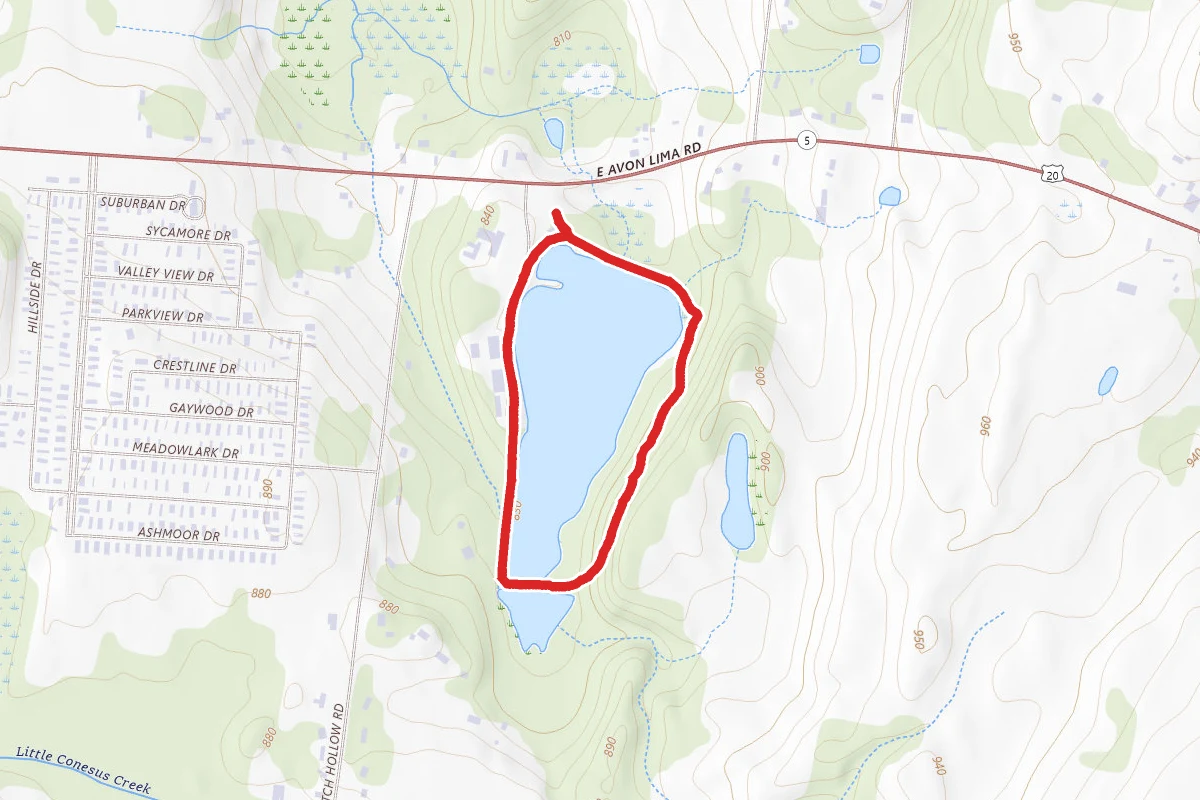 Twin Cedars Pond