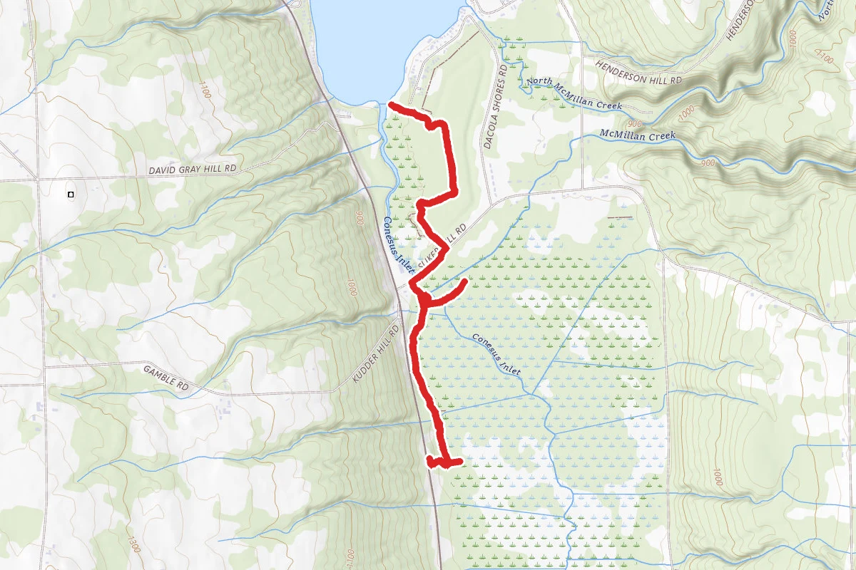 Conesus Lake Inlet Trail