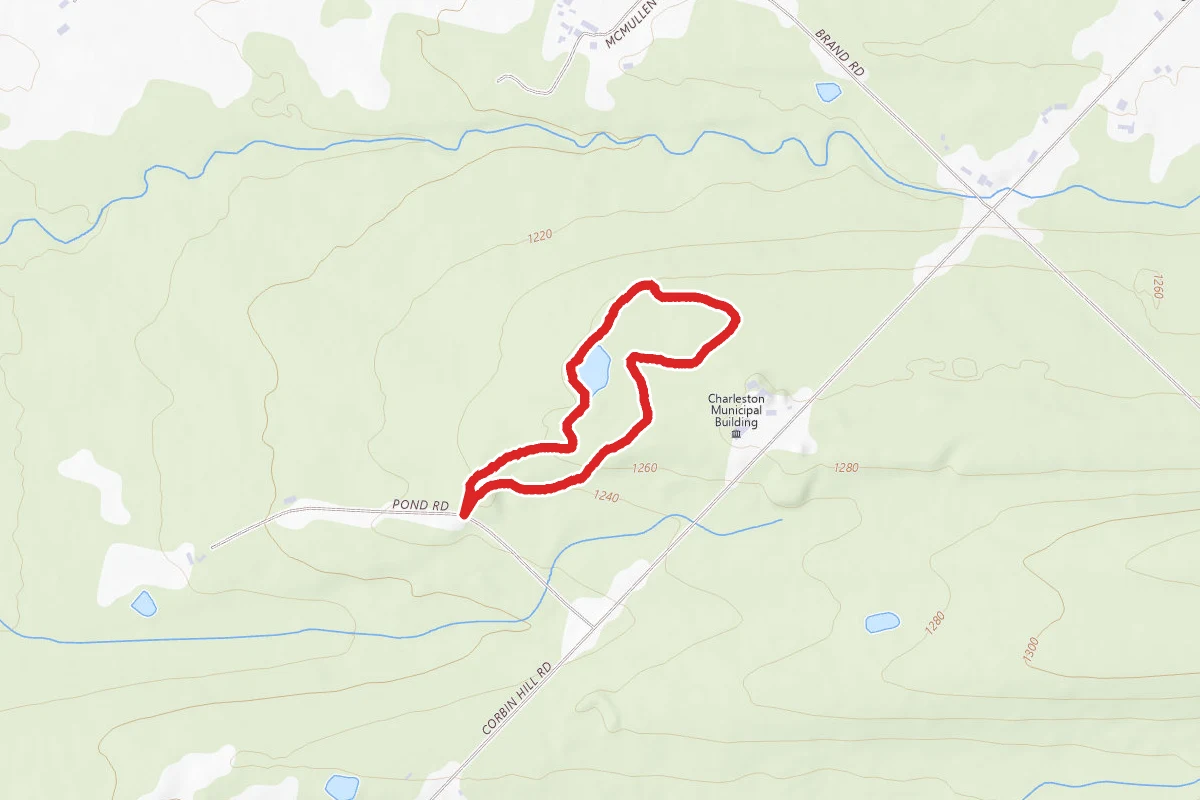 Thomas H. Burbine Sr. Nature Loop