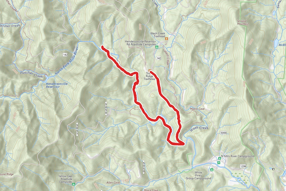 North Mills River Trail