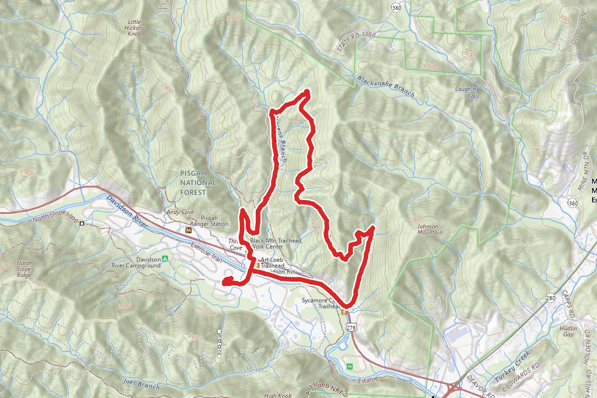 Grassy Road Trail and Sycamore Cove Loop