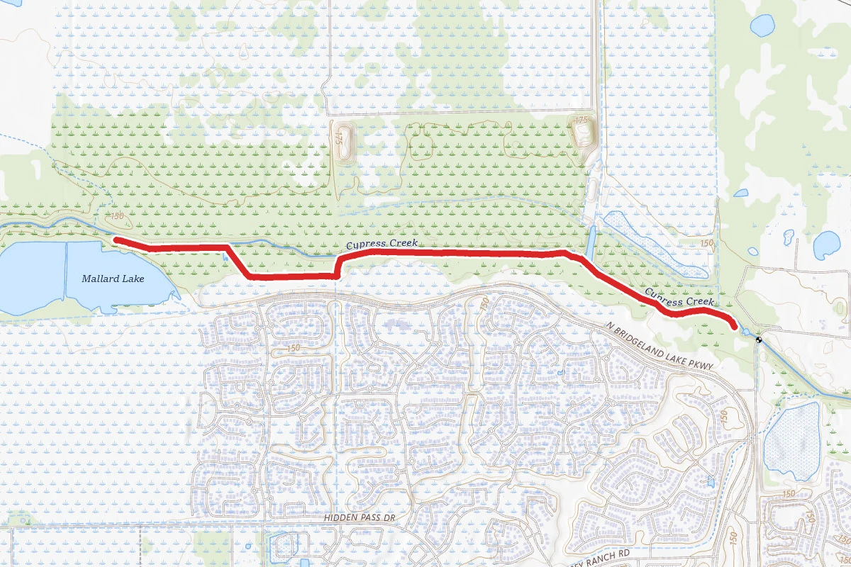 Cypress Creek Trail