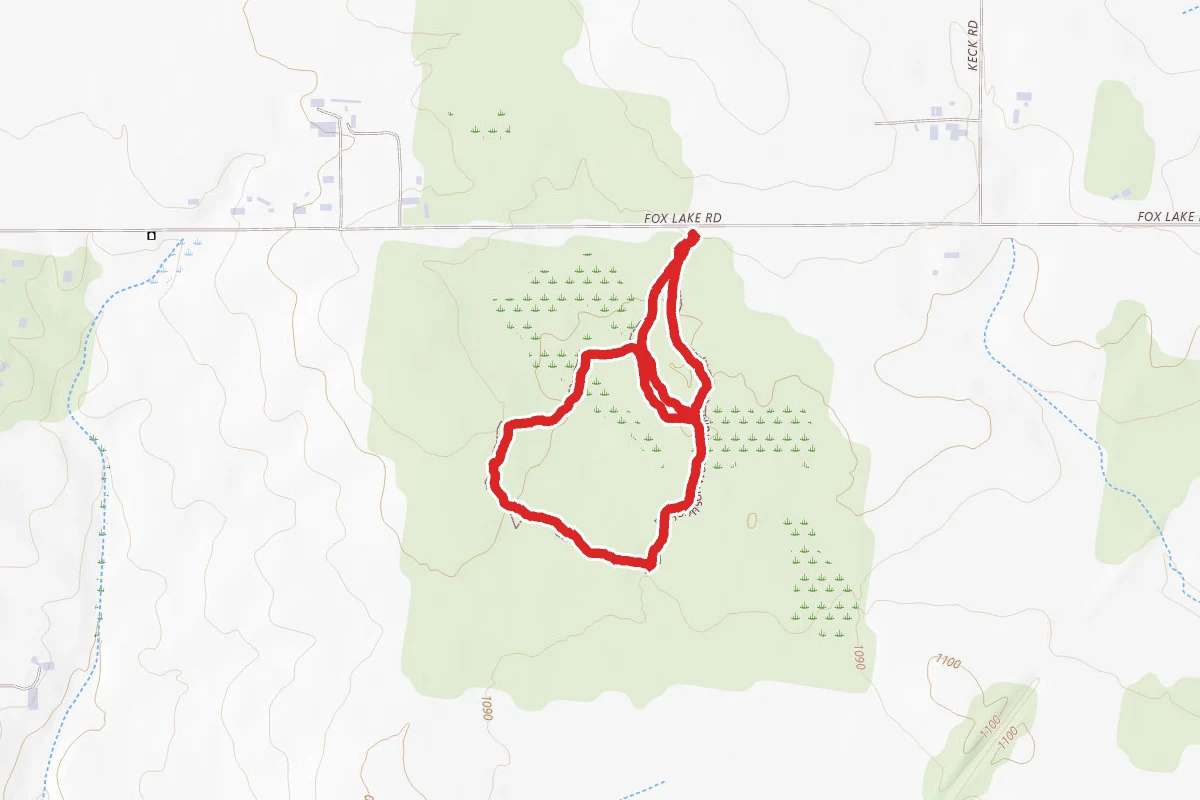 Johnson Woods Loop