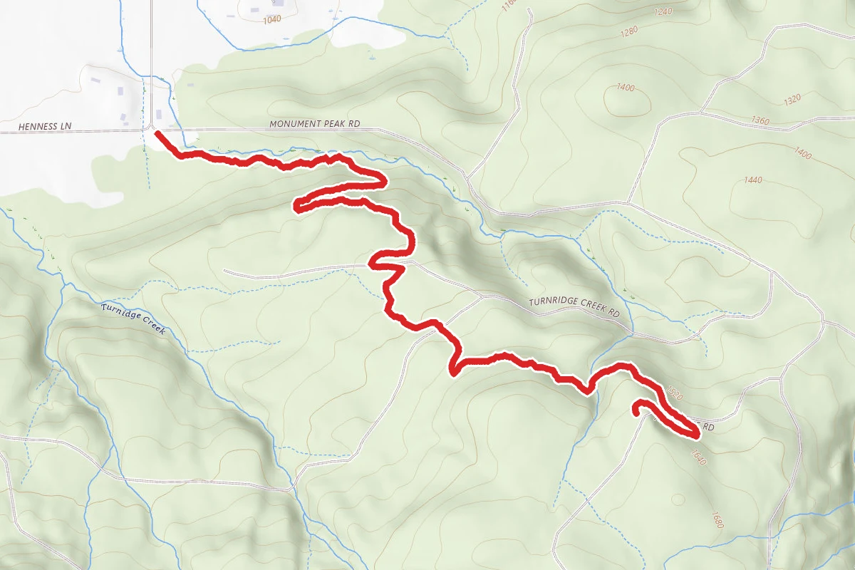Wild Boar Trail via Magic Trail