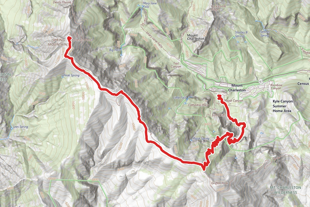 Charleston Peak South Trail
