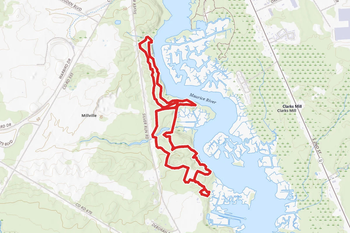Maurice River Bluffs Trail
