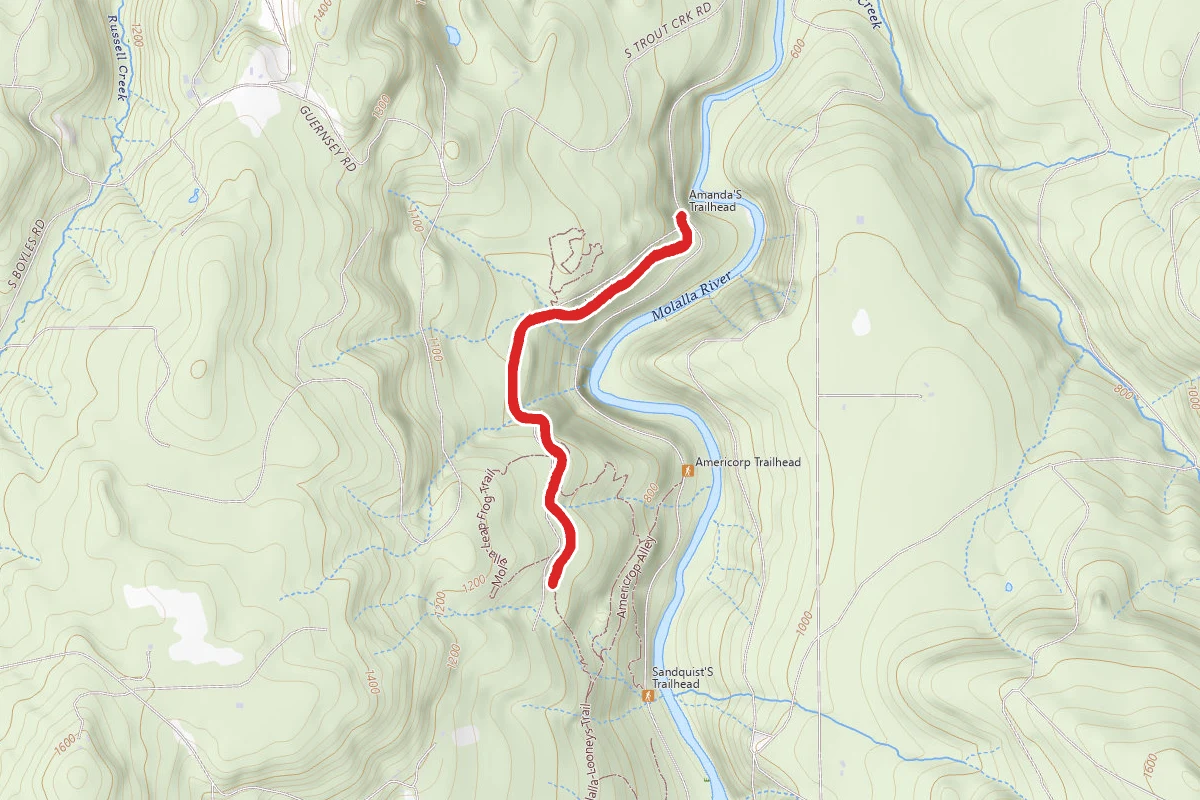 Reinstria's Trail