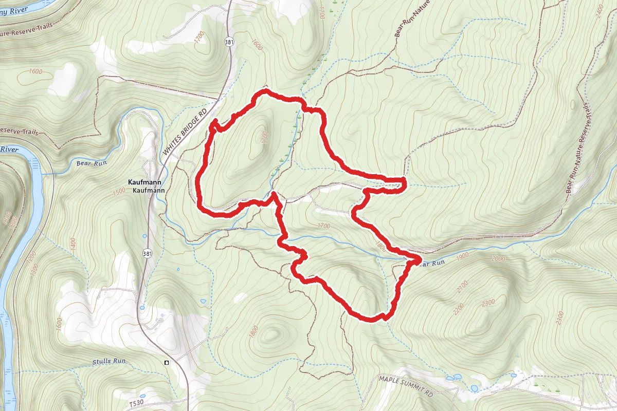Bear Run Orange Loop