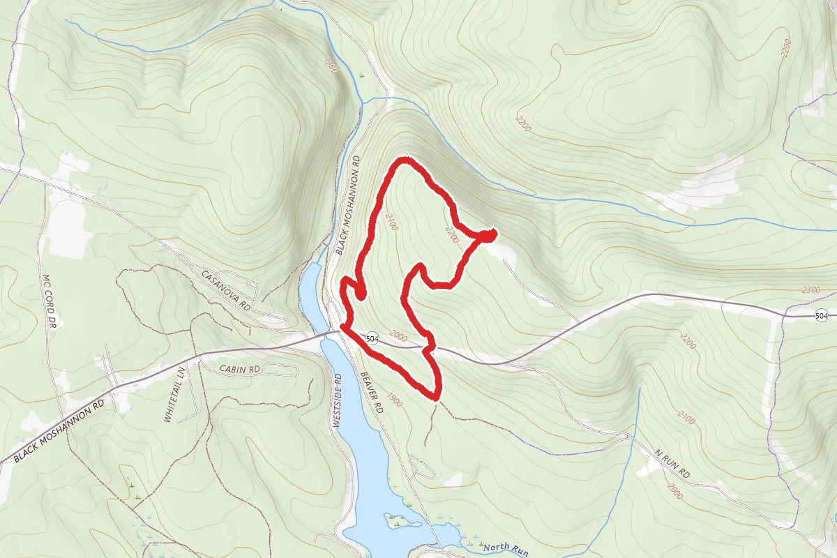 Ski Slope Trail Loop