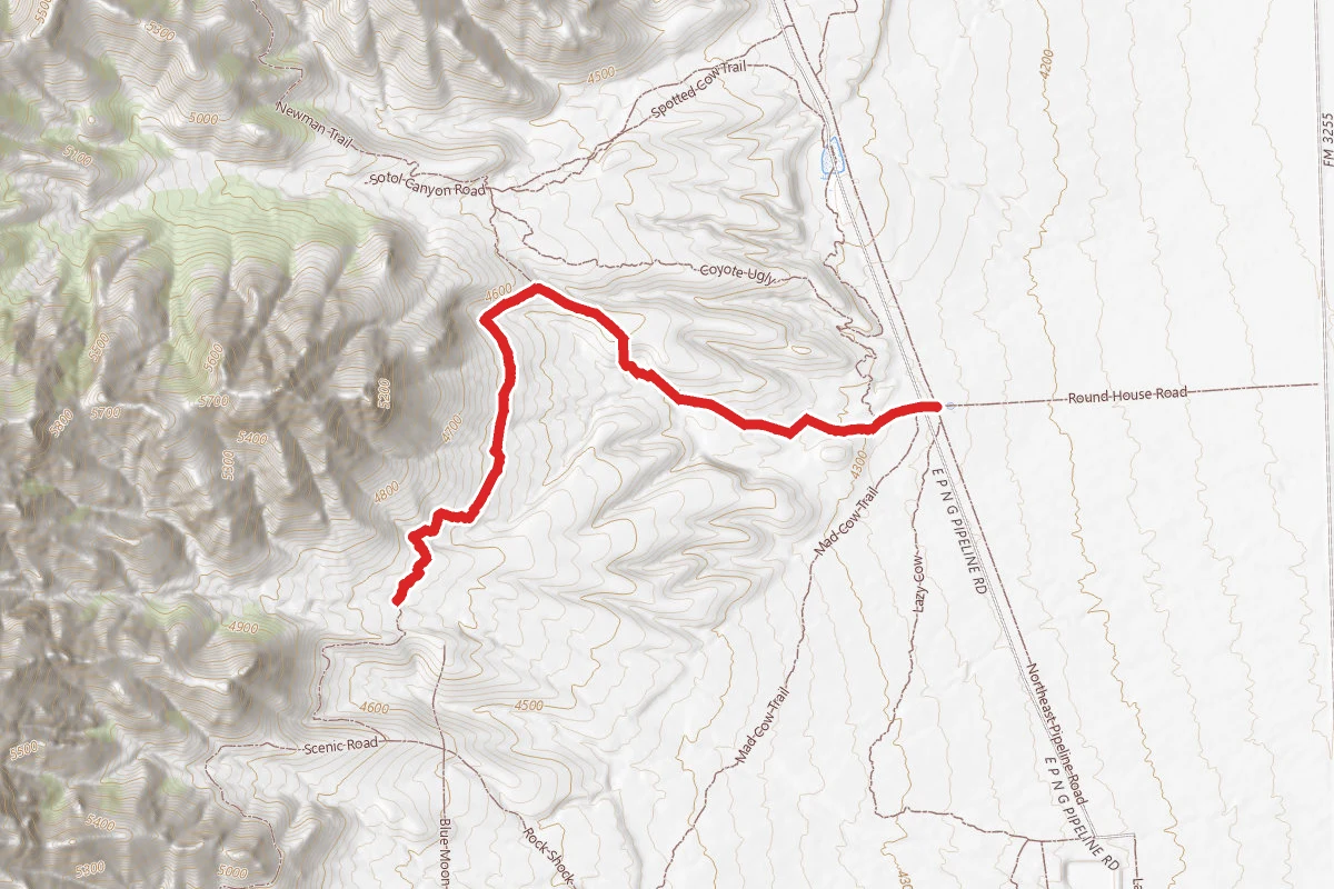 Coyote Ugly to Sotol Forest Trail