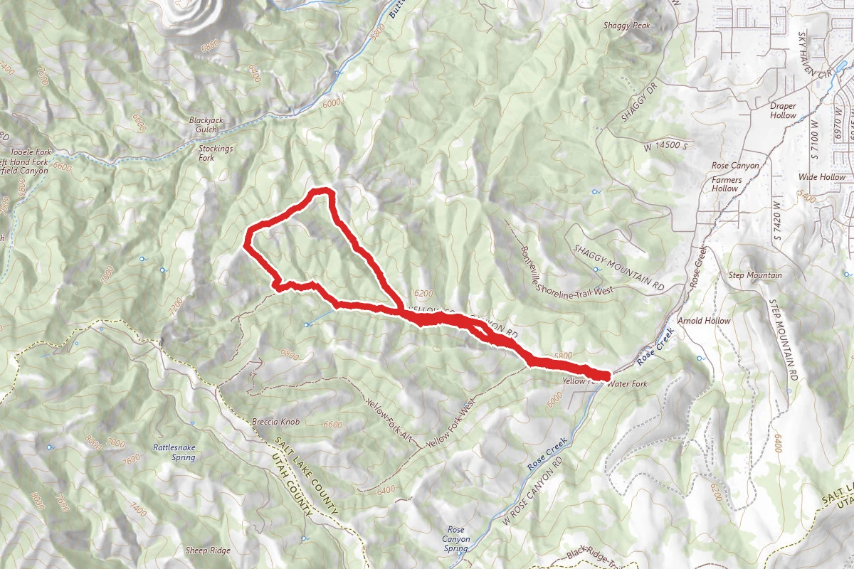 Yellow Fork and Turkey Hollow Loop