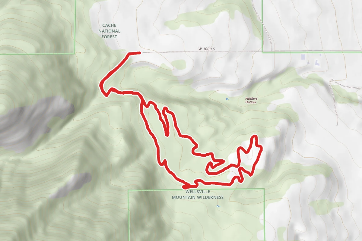Wayne's Loop Trail