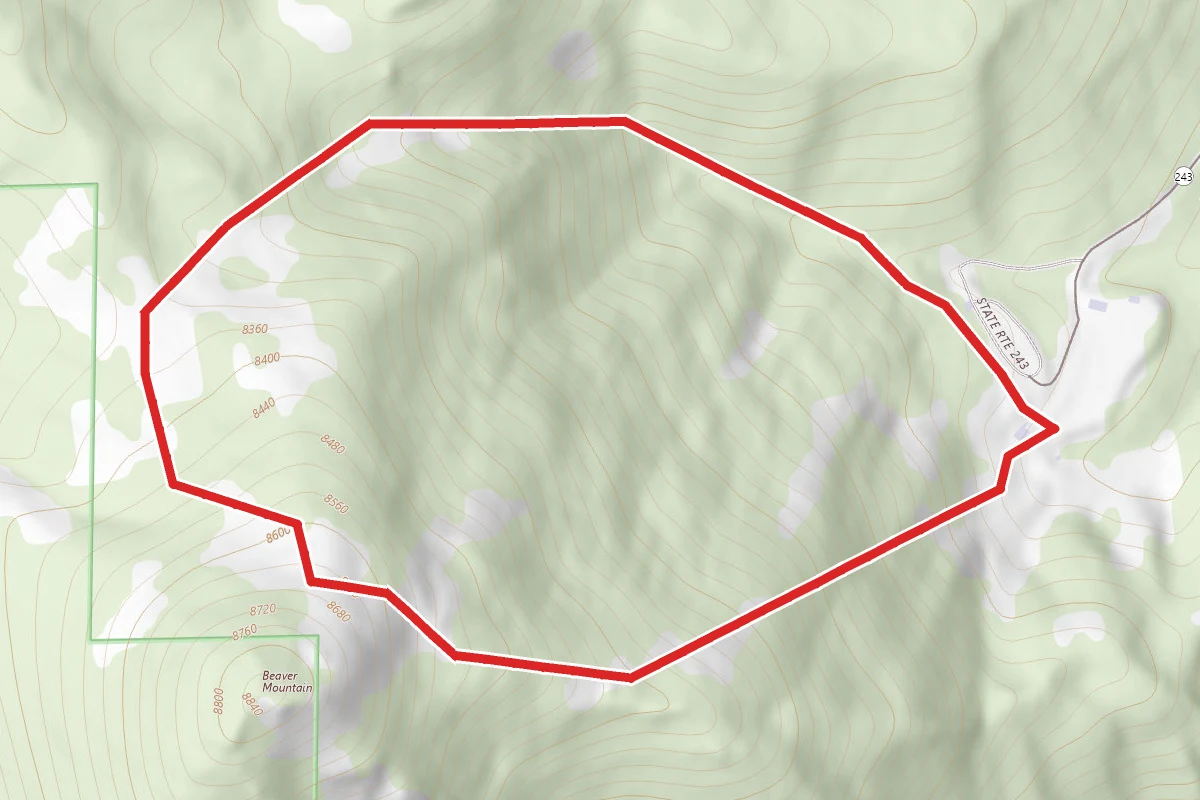 Beaver Mountain Ski Resort Trails
