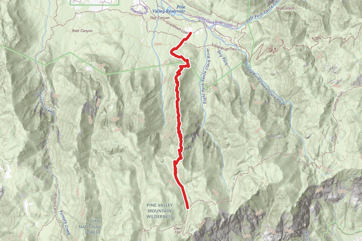 Browns Point Trail