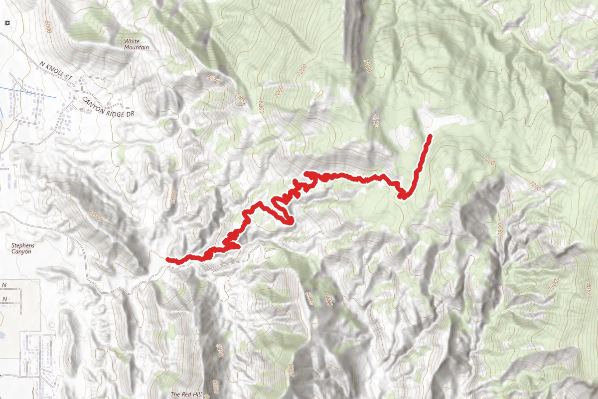 Lightning Switch Trail