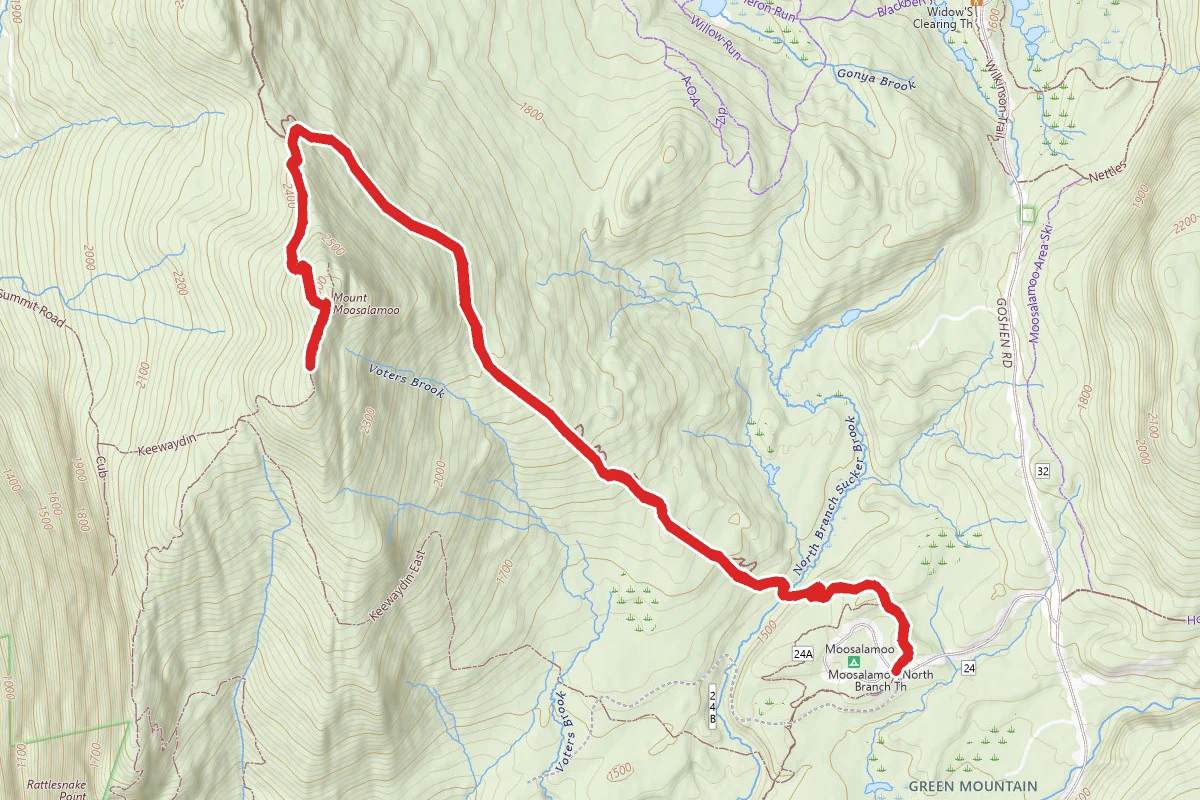 Mount Moosalamoo Trail