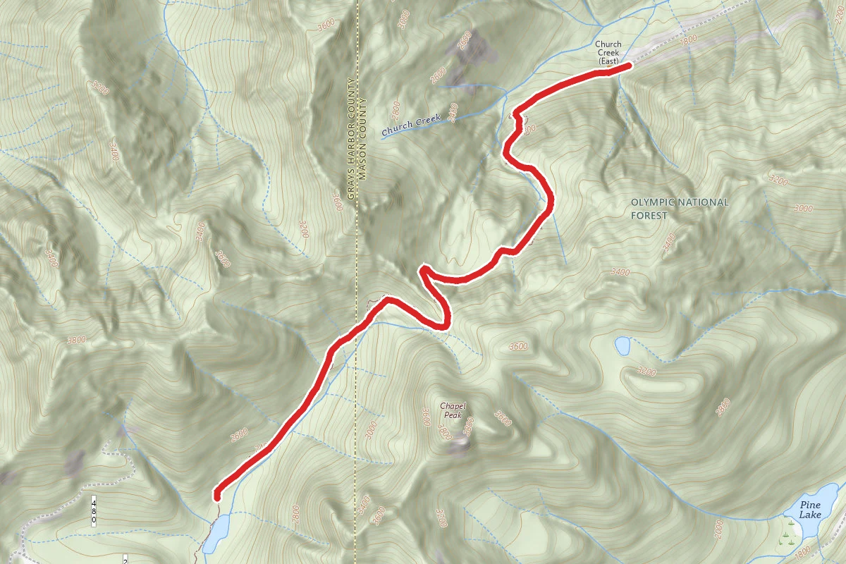 Church Creek - Satsop Lakes Trail