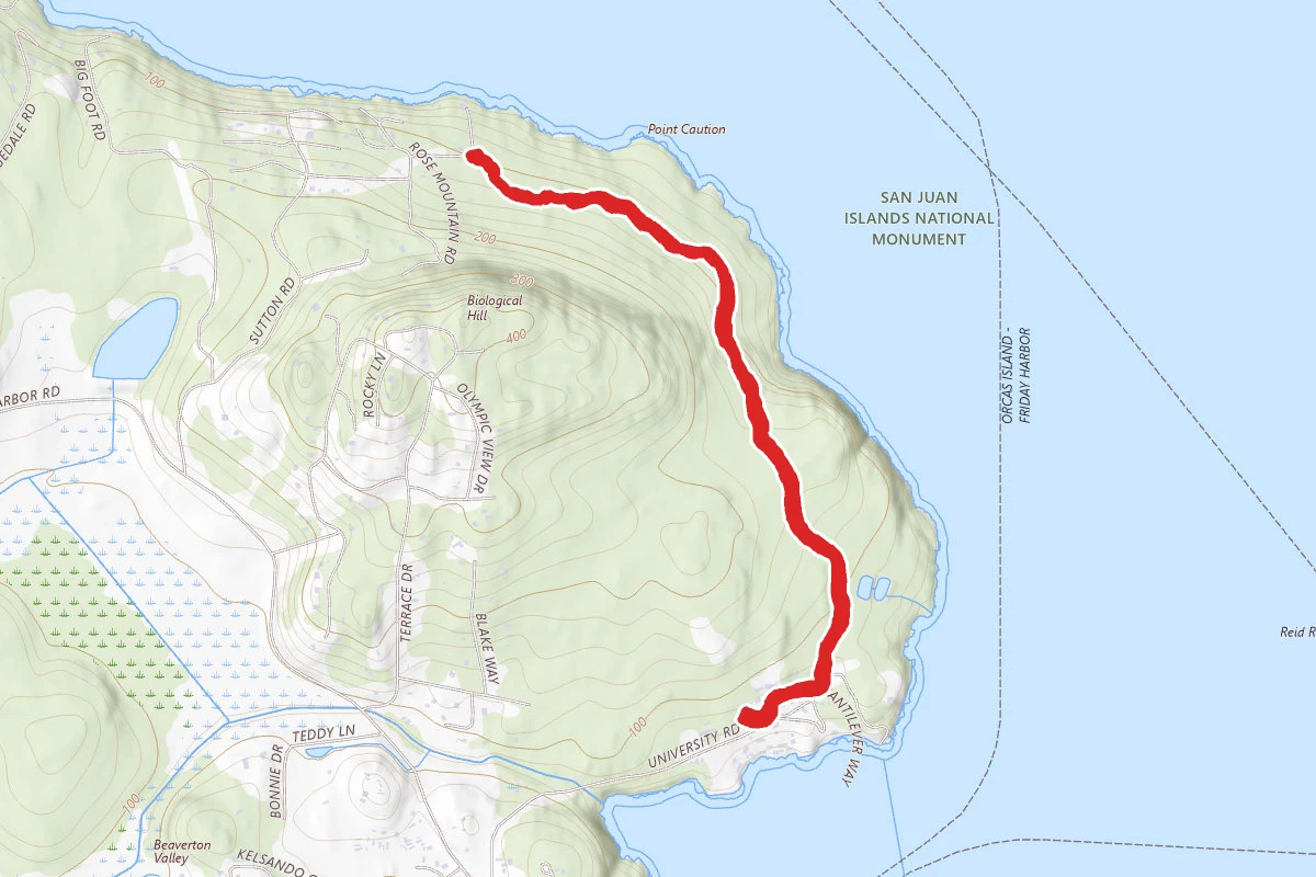 Fire Trail