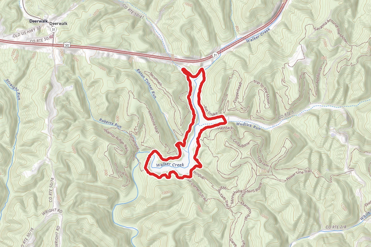 Mountwood Lake Trail Loop