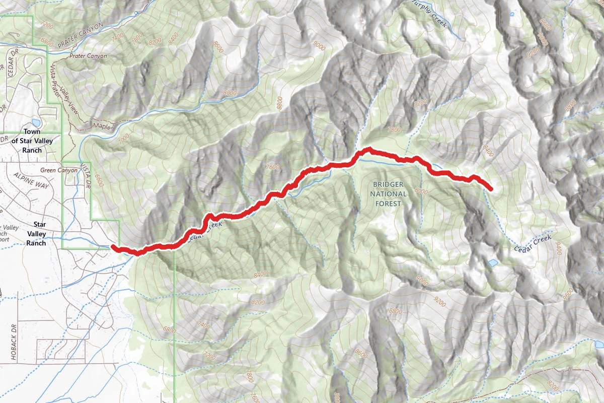 Cedar Basin Trail