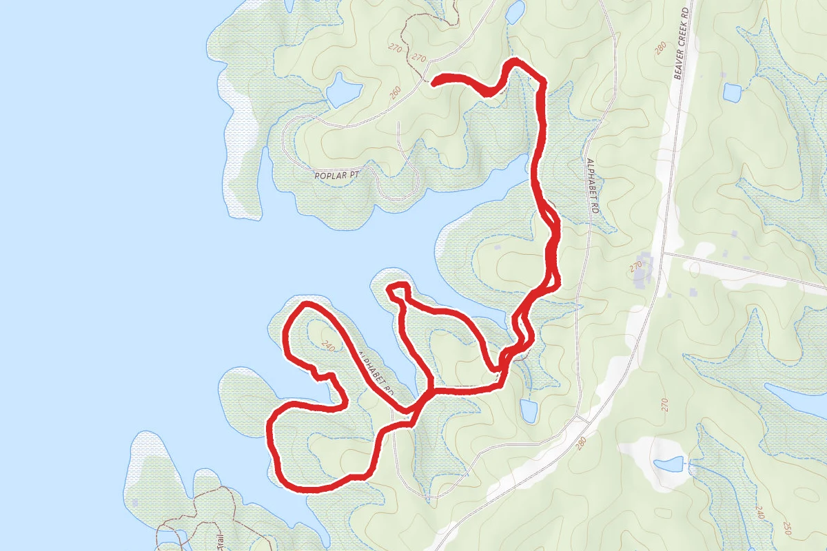 Jordan Lake Poplar Trail